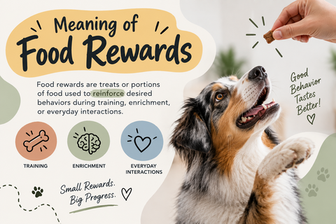 Meaning of Food Rewards