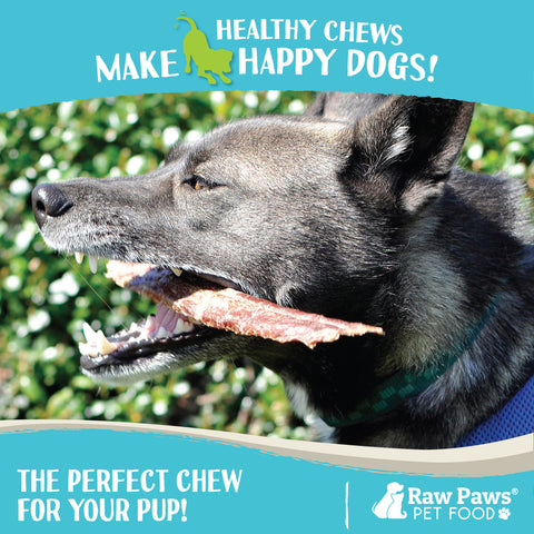Beef Esophagus Strips for Dogs, 40-ct