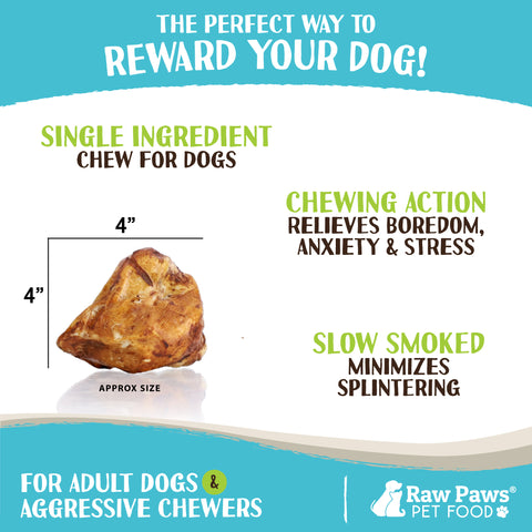 Smoked Beef Knee Cap Bones for Dogs, 5-ct