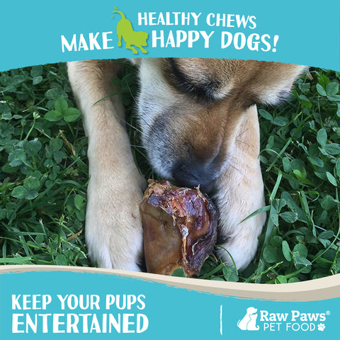 Smoked Beef Knee Cap Bones for Dogs, 5-ct