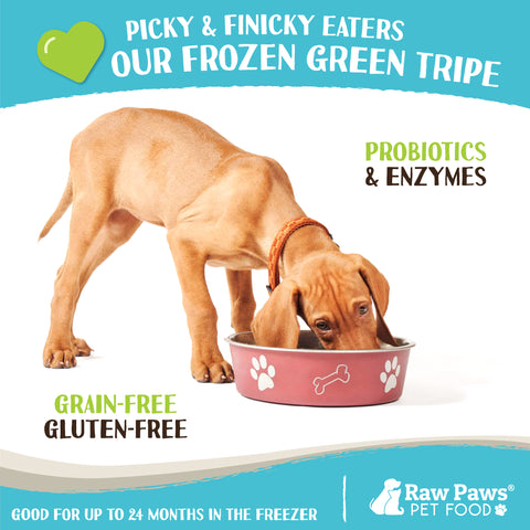 Signature Green Beef Tripe for Dogs & Cats, 1-lb