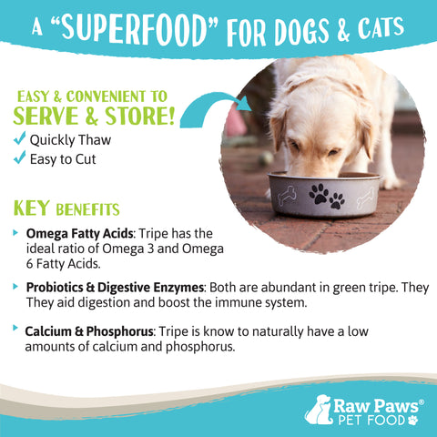 Signature Green Beef Tripe for Dogs & Cats, 1-lb