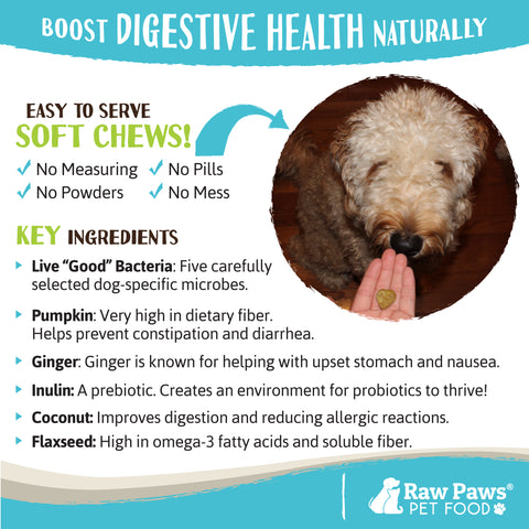 Probiotic & Prebiotic Treats for Dogs, 10-oz
