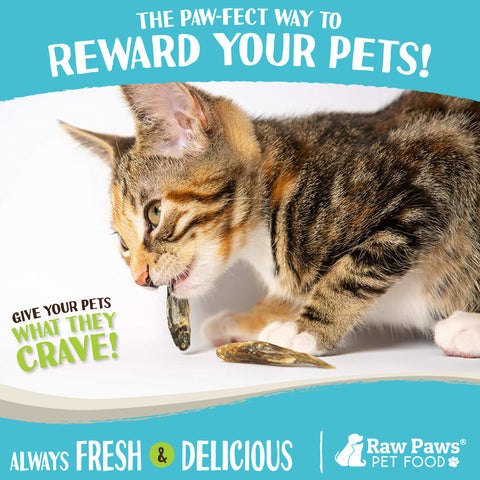 Freeze Dried Minnow Treats for Dogs & Cats, 2-oz