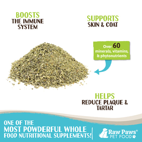 Organic Kelp for Dogs & Cats