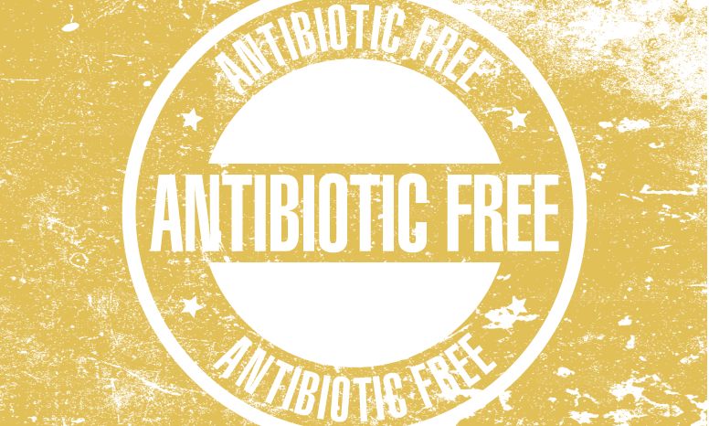 What does Antibiotic Free Mean?