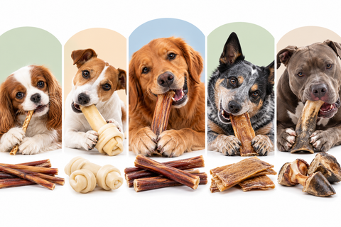 Best Natural Dog Chews by Chewing Style: From Gentle Chewers to Power Chewers