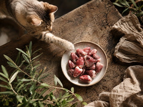 Can Cats Eat Chicken Hearts? Why This Organ Meat Is So Appealing