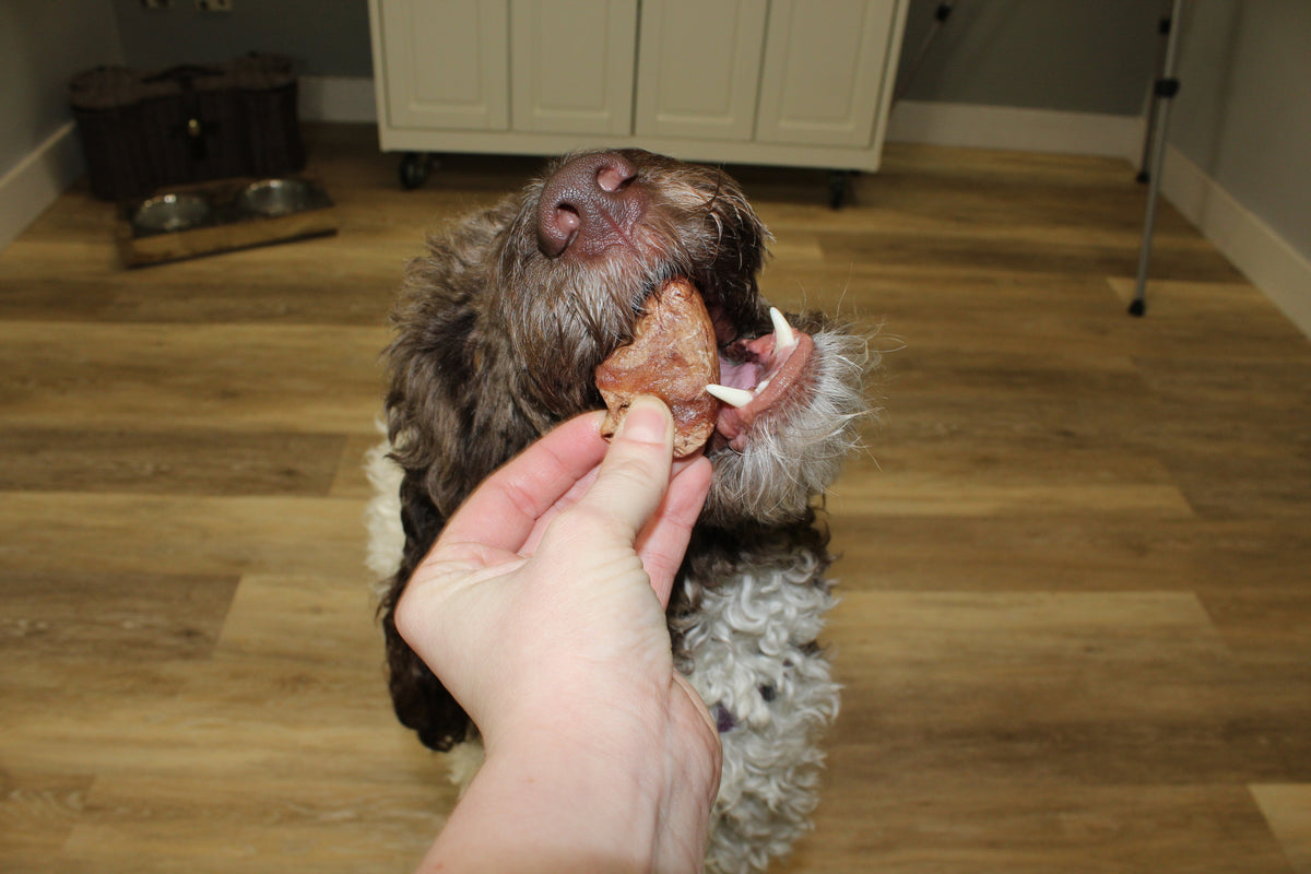 Why Freeze-Dried Chicken Hearts Are So Appealing to Dogs & Cats
