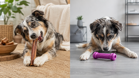Natural Dog Chews vs. Synthetic Chews: What's the Difference?