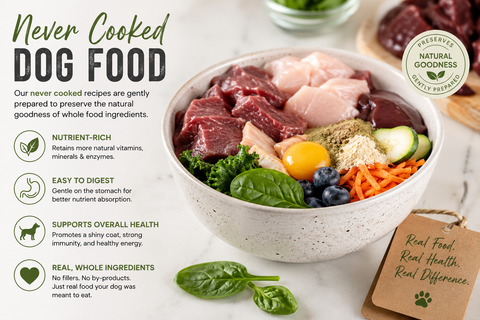 Never Cooked | Glossary
