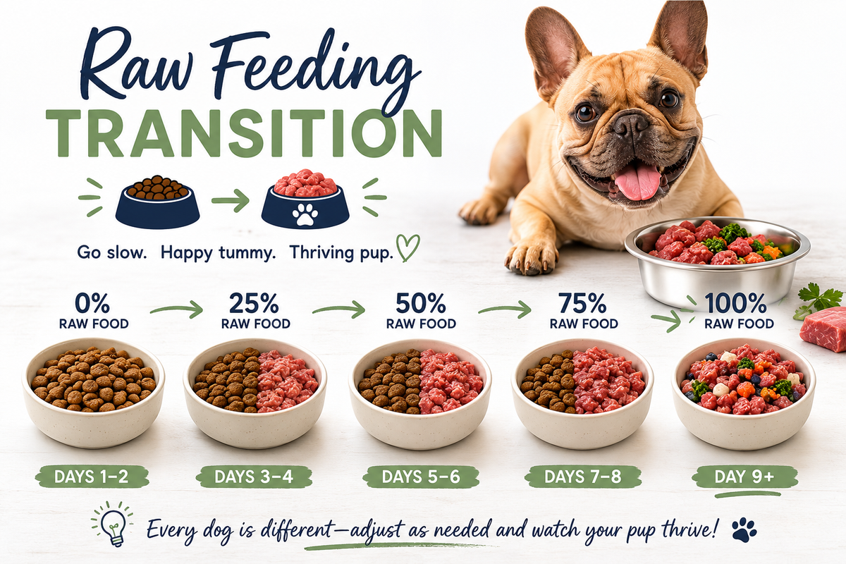 Meaning of Raw Feeding Transition