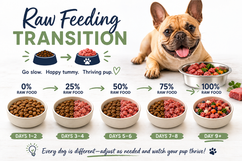 Meaning of Raw Feeding Transition