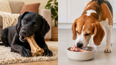The Difference Between Recreational Bones and Edible Bones