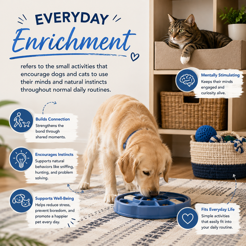 What Is Everyday Enrichment?