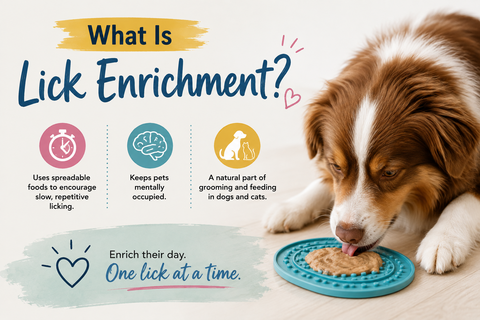 What Is Lick Enrichment?