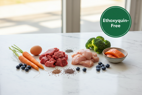 Meaning of Ethoxyquin-Free