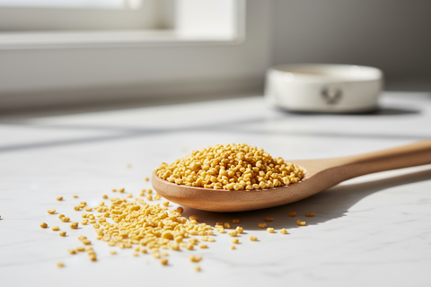 What is Lecithin?