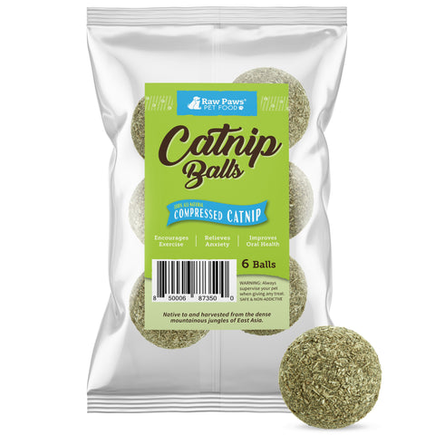 Catnip for Cats