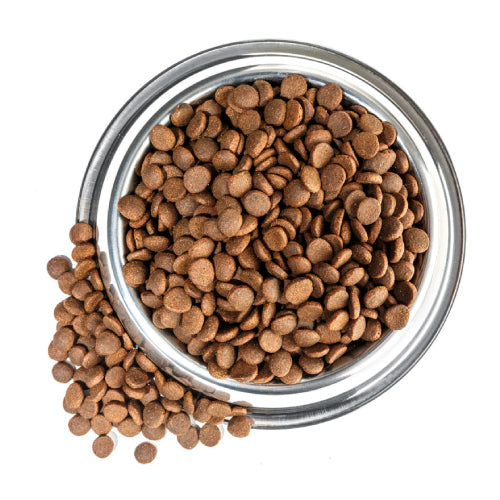 Natural Dry Dog Food & Premium Kibble with Real Ingredients | Raw Paws ...