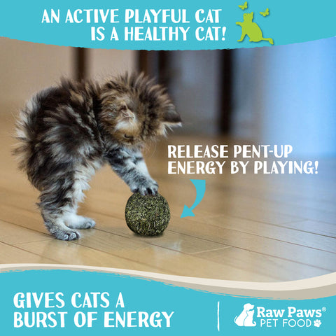 Natural Compressed Catnip Balls, 6-ct