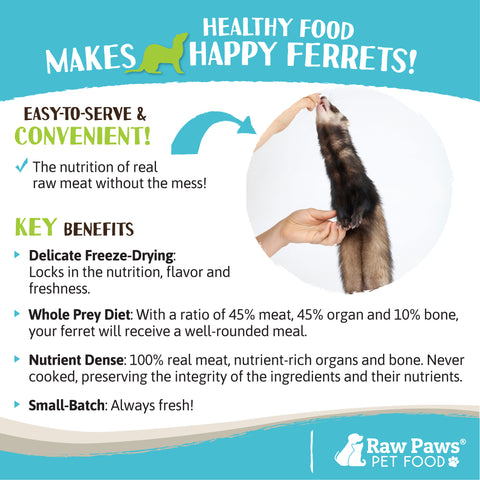 Freeze Dried Pet Food for Ferrets - Beef Recipe, 16-oz