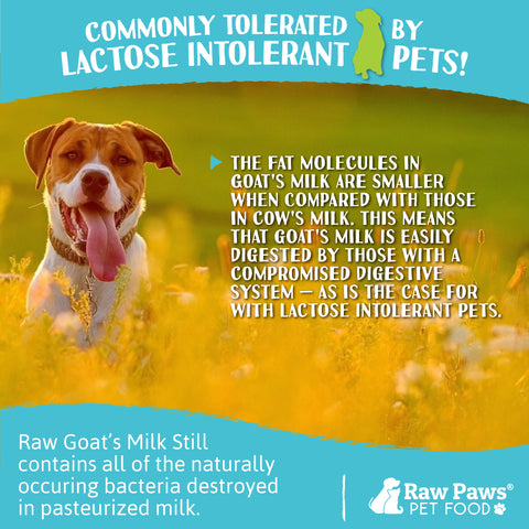 Raw Unpasteurized Goat Milk for Dogs & Cats, 16-fl-oz