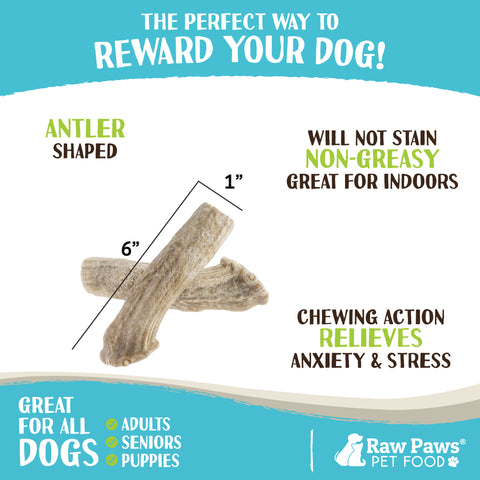 Antler Shaped Dog Treats, 6-ct