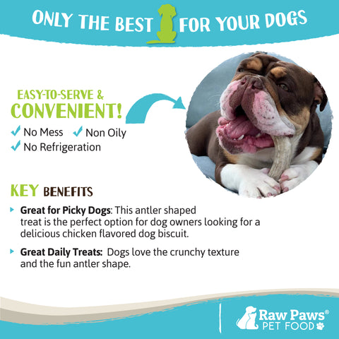 Antler Shaped Dog Treats, 6-ct