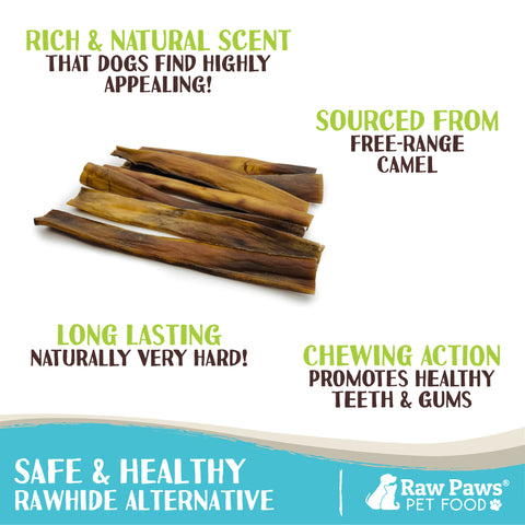 Camel Skin Chew for Dogs, 10-inch - 10-ct