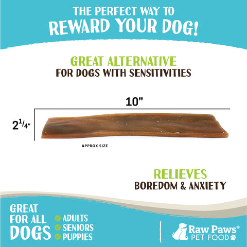 Camel Skin Chew for Dogs, 10-inch - 10-ct