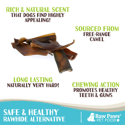 Camel Skin Chew for Dogs, 6-inch - 15-ct