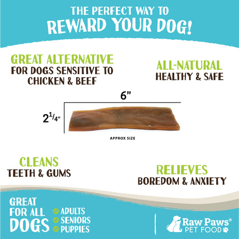 Camel Skin Chew for Dogs, 6-inch - 15-ct