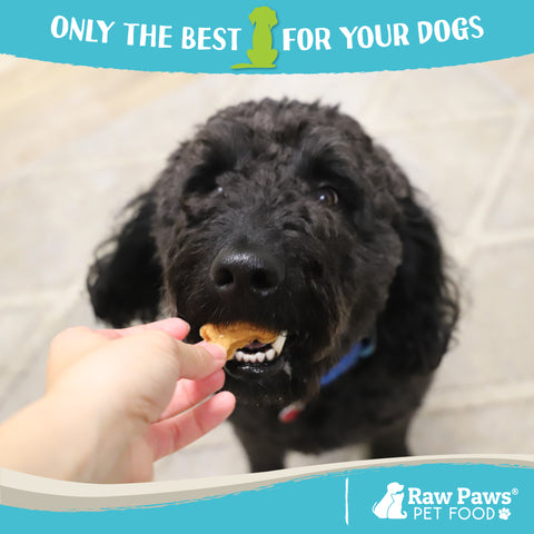 Soft Bone-Shaped Treats for Dogs - Peanut Butter & Chicken Recipe, 16-oz