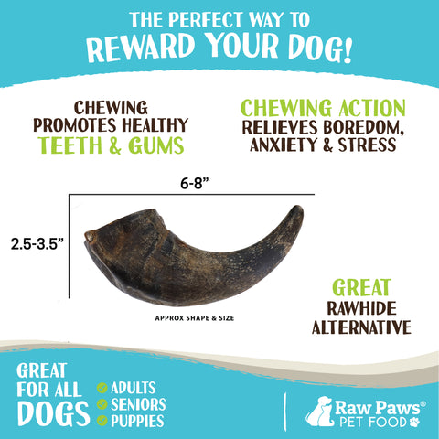 Water Buffalo Horns for Dogs - Small, 4-ct