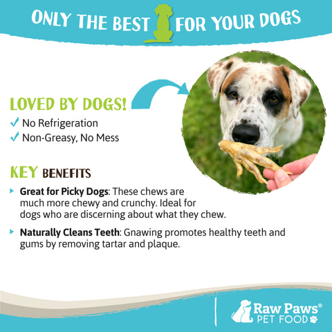 Chicken Feet for Dogs, 10-ct
