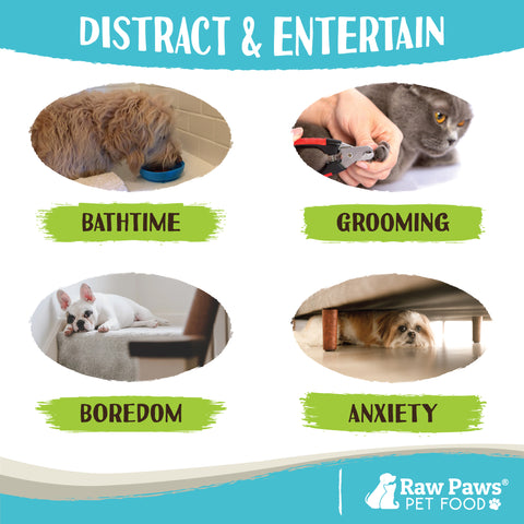 Licking Mat Bowl for Dogs with Suction - Grooming Distraction