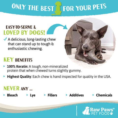 Water Buffalo Horns for Dogs, Large - 2-ct