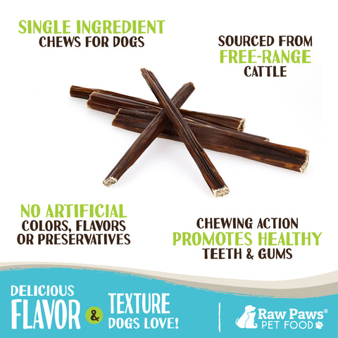 Beef Gullet Sticks for Dogs, 6-inch - 10-ct