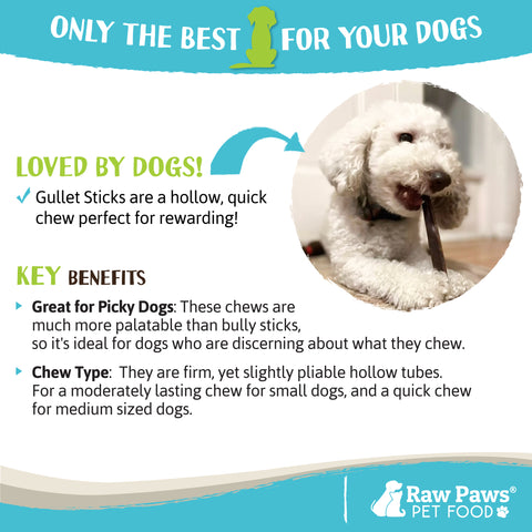 Beef Gullet Sticks for Dogs, 6-inch - 10-ct