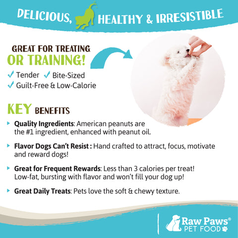 Grain-Free Training Treats for Dogs - Peanut Butter Recipe, 6-oz