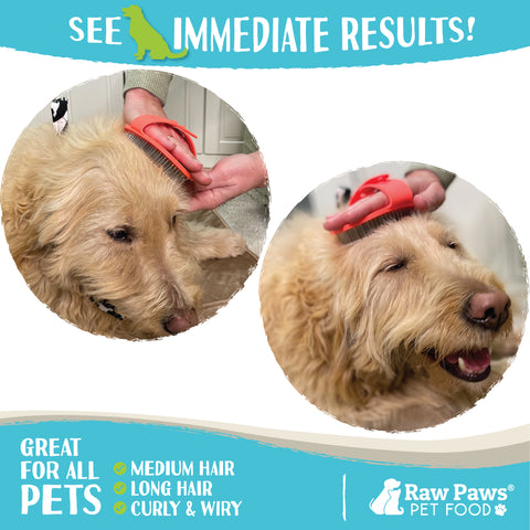 Grooming Brush for Dogs & Cats - Rubber Tipped Pin Brush, 1 ct