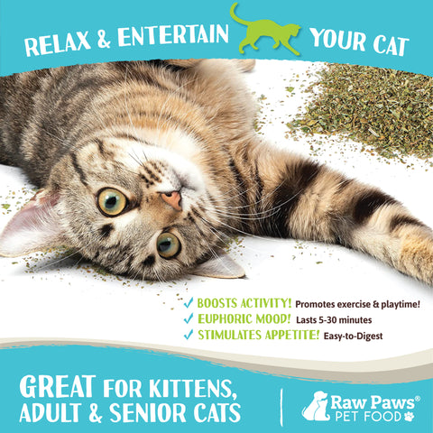 Kitty Ganja Natural Loose Leaf Catnip for Cats, 1-oz