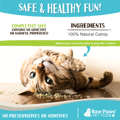 Kitty Ganja Natural Loose Leaf Catnip for Cats, 1-oz