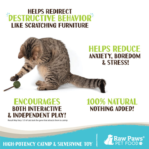 Natural Catnip Lollipop Cat Toy, 6-ct