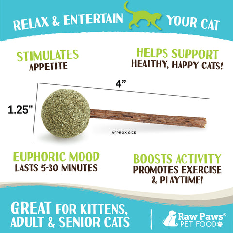 Natural Catnip Lollipop Cat Toy, 6-ct
