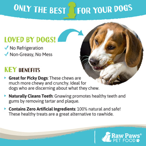 Freeze Dried Duck Feet for Dogs, 10-ct