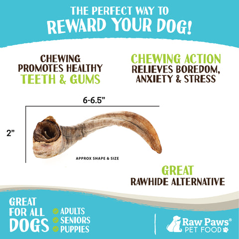 Lamb Horns for Dogs, 2-ct