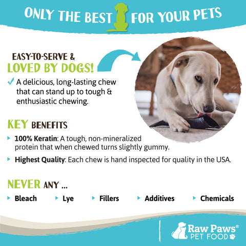 Lamb Horns for Dogs, 2-ct