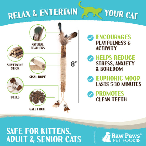 Natural Matatabi Silvervine Chew Stick Feather Cat Toy, 3-ct